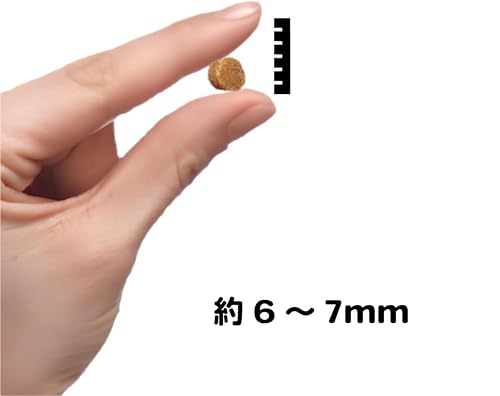 サクラペットフード 半生フード(やわらかタイプ)800g×3個セット(2.4kg) 【獣医師推奨】【ドッグフード・ソフト・シニア・夏バテ】【国産・無添加・新鮮】【個包装】 中間 画像