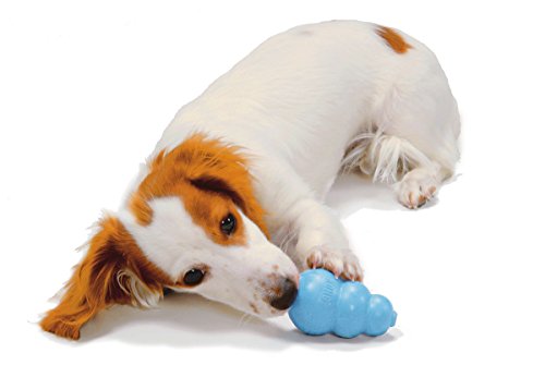 Kong(コング) チキン味ペースト コングと組み合わせ愛犬のしつけや知育に役立ちます コングを使った7つの解決策(噛む 歯固め 分離不安 退屈吠える&掘る クレートトレーニング 体重管理) 犬 おもちゃ 知育玩具 しつけ 最後 画像