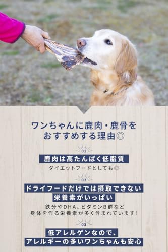 いぬのくらし 鹿骨 鹿 肩甲骨 犬のおやつ 犬用 骨 無添加 ボーン デンタルケア 口臭ケア 大型犬 中型犬 小型犬 グルテンフリー 長持ち 高タンパク 3サイズ 国産 (L) 中間 画像