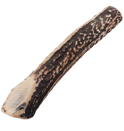 モノライフ 鹿の角 犬 噛むおもちゃ 無添加 おやつ 噛む 犬用 おもちゃ エゾジカ 国産 鹿 角 ガム 歯磨き デンタルケア 中型犬 15cm 1枚目 画像