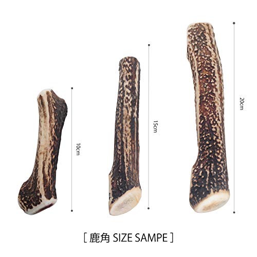モノライフ 鹿の角 犬 噛むおもちゃ 無添加 おやつ 噛む 犬用 おもちゃ エゾジカ 国産 鹿 角 ガム 歯磨き デンタルケア 小型犬 10cm 中間 画像