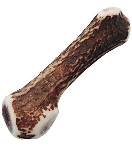 モノライフ 鹿の角 犬 噛むおもちゃ 無添加 おやつ 噛む 犬用 おもちゃ エゾジカ 国産 鹿 角 ガム 歯磨き デンタルケア 小型犬 10cm 1