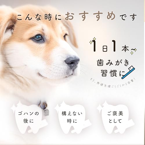 Laki ラキ 国産 無添加 牛皮デンタルガム スティック デンタルスティック 歯磨きガム はみがきガム 犬用おやつ 歯磨き 犬 ペット おやつ 無着色 軽い ジャーキー 25本×2袋 最後 画像