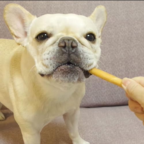 ペティオ (Petio) デンタルコーティンガム ツイストタイプ グレインフリー 20本入 最後 画像