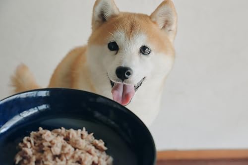 はごろも ドッグフード (国産) 愛犬用 無一物 パウチ まぐろ 60x12個 (まとめ買い) 最後 画像