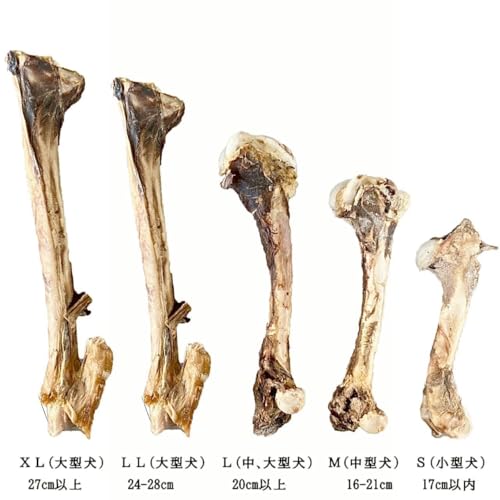 ペットフード研究所 【 国産 無添加 】 小型犬 中型犬 大型犬 鹿レッグボーン 足骨 グルテンフリー 鹿骨 犬のおやつ 犬用 (中型大型犬L, 通常骨) 最後 画像