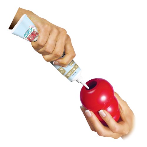 Kong(コング) 犬 おもちゃ コングチューブペースト ヨーグルト味 コングと組み合わせ愛犬のしつけや知育に役立ちます コングを使った7つの解決策(カム歯 固め 分離不安 退屈吠える&掘る クレートトレーニング 体重管理) 犬 おもちゃ 知育玩具 しつけ 中間 画像