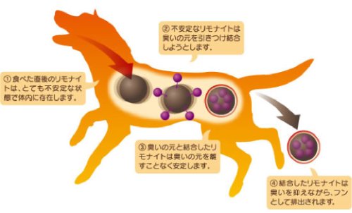 リモナイト オリエント商会 愛犬用 鶏肉ささみおやつ ふりかけタイプ 250g 中間 画像