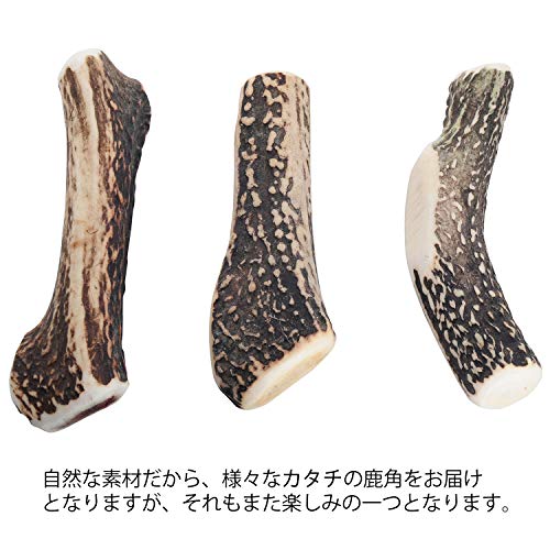 モノライフ 鹿の角 犬 噛むおもちゃ 無添加 おやつ 噛む 犬用 おもちゃ エゾジカ 国産 鹿 角 ガム 歯磨き デンタルケア 小型犬 10cm 中間 画像