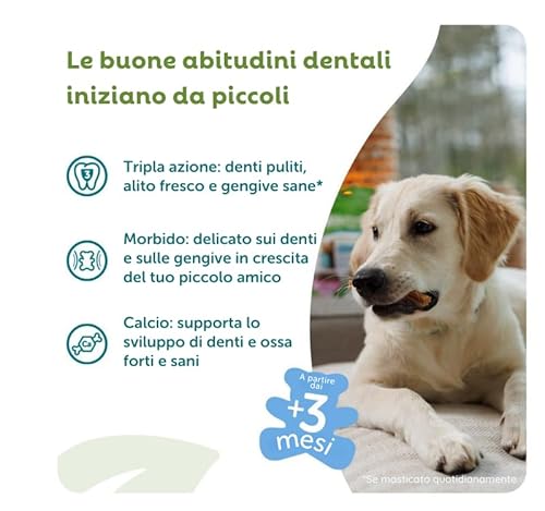 ウィムズィーズパピーM/L(体重9-18kg)14個入 最後 画像