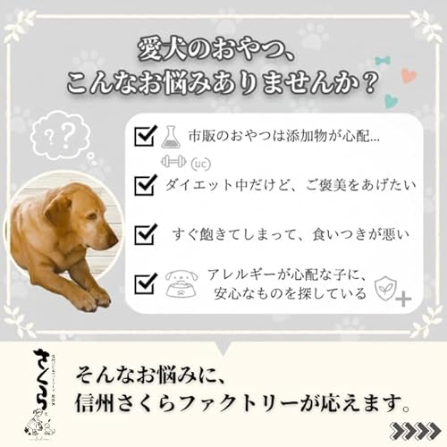 【完全無添加】犬用 信州産 鹿肉ジャーキー 50g | ヒューマングレード | 無着色・保存料不使用・グレインフリー | 犬用おやつ・ご褒美・しつけに | 低カロリー・高タンパク 中間 画像