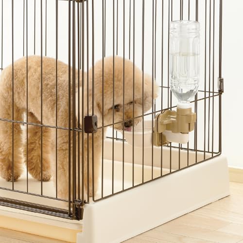 ドッグウォーターディッシュS アイボリー 最後 画像