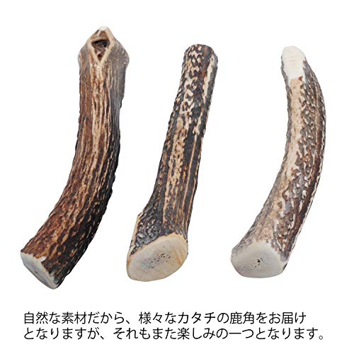 モノライフ 鹿の角 犬 噛むおもちゃ 無添加 おやつ 噛む 犬用 おもちゃ エゾジカ 国産 鹿 角 ガム 歯磨き デンタルケア 中型犬 15cm 中間 画像
