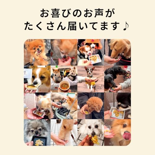 ココグルメ・ドライ (850g×2袋) 手作りドッグフード 国産 無添加 獣医師監修 総合栄養食 グレインフリー ドライフード ペットフード ご飯 トッピング 老犬 シニア 小型犬 子犬 低温調理 中間 画像