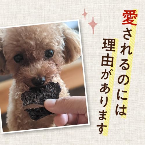 健康いぬ生活 犬 おやつ 馬肉 100% ジャーキー 120g (40g×3袋) 国産 無添加 高たん ぱく 鉄分 アレルギー オヤツ グルテンフリー アレルギー対応 犬用 低脂肪 最後 画像