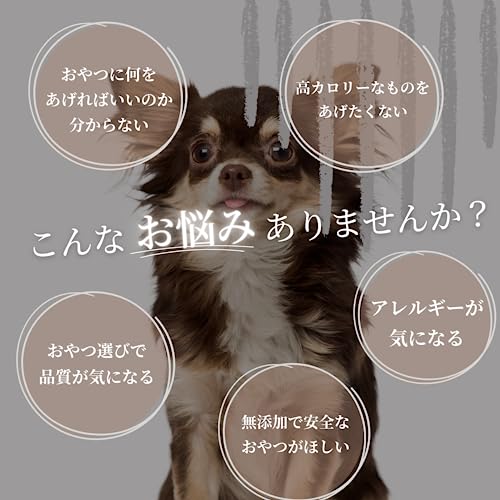 十勝ぼっこ 鹿肉ジャーキー エゾジカ 低脂肪 チャック付き【国産 無添加 無着色】40g / 犬用 北海道の鹿肉を使用 犬おやつ 犬餌 高たんぱく 低糖質 低脂質 最後 画像