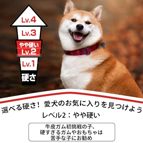 ディンゴ (DINGO) 犬 ガム おやつ チキンツイスト 30本入 中間 画像