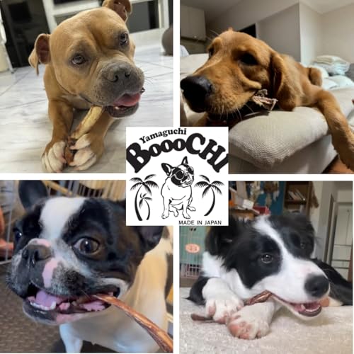 【国産 鹿肉ジャーキー】 BOOOCHI ぶーち 犬のおやつ 鹿 レッグボーン 無添加 無着色 鹿骨 中型犬 大型犬 骨 山口県産 歯磨きガム 代用品としても チャック付き / 3 本 約14~17cm 中間 画像