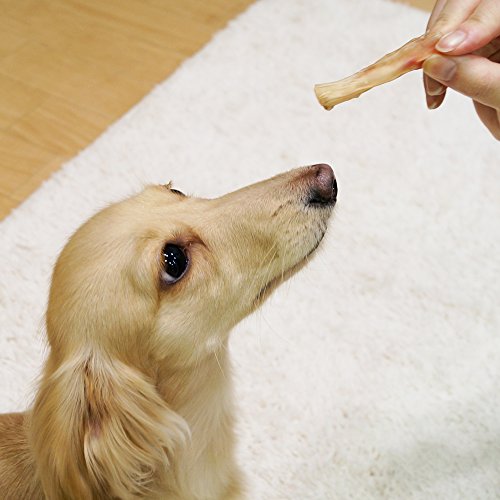 ドギーマンハヤシ 無添加良品 牛アキレス200g 中間 画像