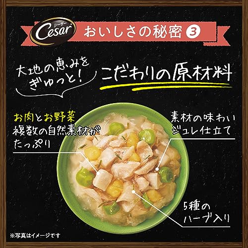 シーザー パウチ 成犬用 自然素材レシピ 無添加 60g×16袋 平飼い鶏の蒸しささみ&農園野菜 低カロリー 低脂肪 水分補給 ゼリータイプ ウェットフード ドッグフード 犬 Cesar 中間 画像