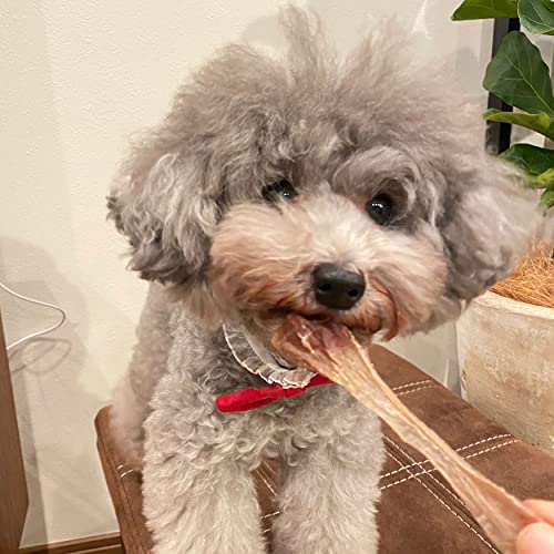 ペティオ (Petio) ニューグリーン NU-GREEN 完全無添加 ダックファイバースティック カットタイプ 20g 最後 画像