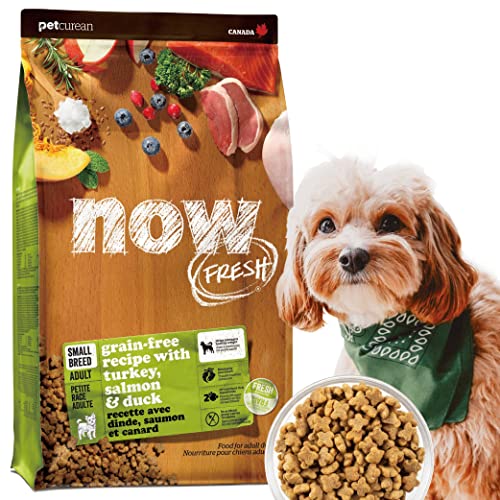 【新鮮・グレインフリー】 ナウフレッシュ 超小粒 小型犬 成犬 0.8kg ドッグフード グレインフリー ミールフリー ドライ (ターキー&サーモン&ダック) NOW FRESH 1枚目 画像