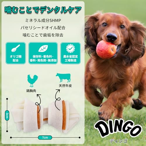 ディンゴ (DINGO) 犬 おやつ オーラルボーンEX ミニ 20本入 犬 おやつ 牛皮の内側に肉を巻き込み最後まで飽きずに食べる長持ちガム ストレス解消やイタズラ噛み防止に役立つ よく噛むことで歯の汚れや歯垢を落とす 中間 画像