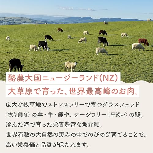 【3種食べ比べお試しセット】ヒトワン(HITOWAN) 生食フリーズドライフード (ベニソン/ビーフ/ラム&サーモン) - ニュージーランド産 総合栄養食 ドライ トライプ 子犬 成犬 シニア 全年齢対応 犬 ご飯 小型犬 中型犬 大型犬 中間 画像