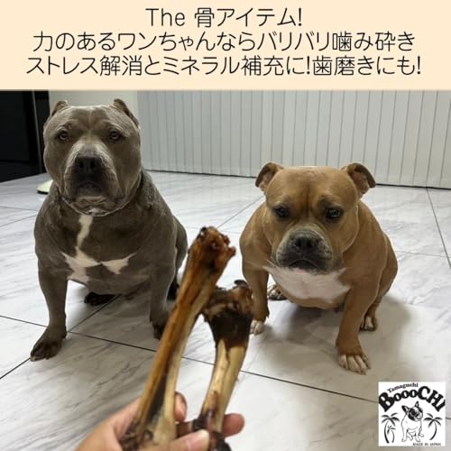 【国産 鹿肉ジャーキー】 BOOOCHI ぶーち 犬のおやつ 鹿 レッグボーン 無添加 無着色 鹿骨 中型犬 大型犬 骨 山口県産 歯磨きガム 代用品としても チャック付き / 3 本 約14~17cm 中間 画像
