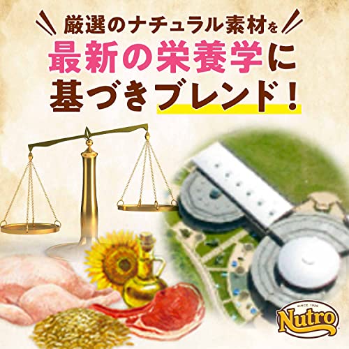 Nutro ナチュラルチョイス 超小型犬4kg以下用 成犬用 生後8ヶ月以上 チキン&玄米 2kg ドライフード 小粒 総合栄養食 ドッグフード 犬 自然素材 香料・着色料 無添加 ニュートロ 中間 画像