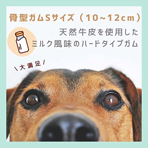 PETRO(ペトロ) 犬用おやつ 骨型ガム S サイズ 40本入り (ミルク味) 中間 画像