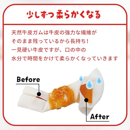 ディンゴ (DINGO) 犬 ガム おやつ チキンツイスト 30本入 中間 画像