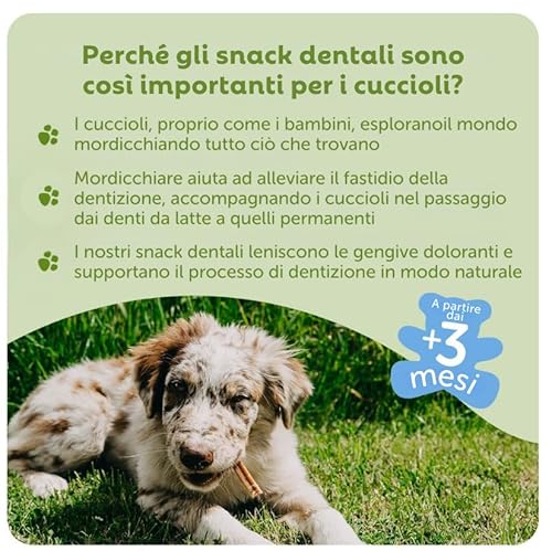 ウィムズィーズパピーM/L(体重9-18kg)14個入 中間 画像