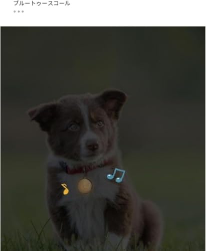 Tuyiutm GPSトラッカー、紛失防止、リアルタイム測位、猫と犬のGPSロケーター猫と犬の首輪、逃走防止、スマートペットの追跡、高齢者、子供の迷子、貴重品、スーツケース、財布、自転車、電気自動車の検索、速達の紛失、車の測位 (ホワイト,+なし) 中間 画像