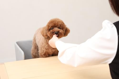 f&f ペットダイニングチェアー Mサイズ ライトグレー 最後 画像