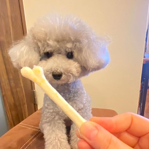 ペティオ (Petio) 乳酸菌のちから デンタルボーン SSサイズ 12本入 最後 画像