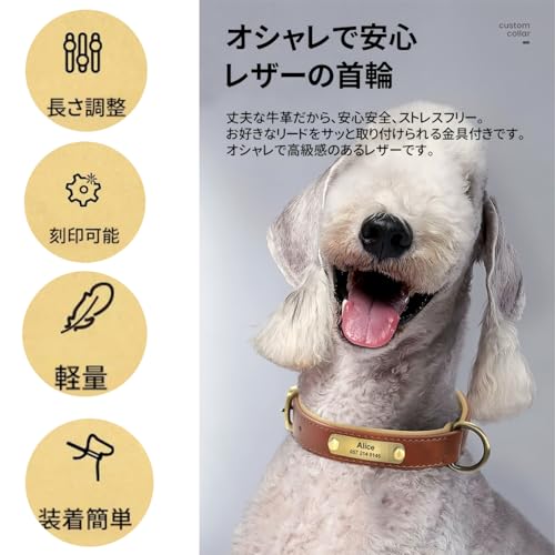 犬首輪 犬 首輪 迷子札 首輪 名入れ 犬用訓練首輪 小型、中型、大型犬用首輪 サイズ調節可能 ペット用品 ハーネス 犬の首輪 革 レザー 超軽量 通気パッド おしゃれ かわいい レザー彫刻 (レッド, M首回り(28~37cm)) 最後 画像