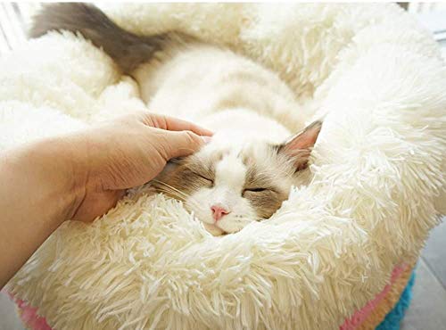 猫 犬 ベッド クッション グッズ - ラウンド型 もふもふ 丸型 OYANTEN ドーナツふわふわ もこもこ ぐっすり眠る 洗える キャット 通年 猫 小型犬用 ペット用品 (50cm, ベージュ) 中間 画像