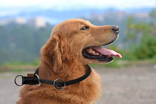 Aiminto ローププロトレーニング犬用カラー、ノープルラウンドマルチンゲールカラー、スリップカラー、スライダブルストップリング付き - 小中大型犬に最適です (Mサイズ 厚み12mm 長さ45cm, ブラック) 中間 画像