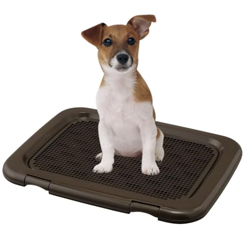 アイリスオーヤマ 犬 トイレ しつけ メッシュカバー付 フチもれしにくいトレーニングペットトレー ワイド 銀イオン配合 抗菌 チャコールグレー 1枚目 画像