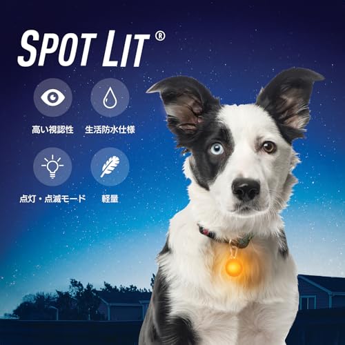 NITEIZE(ナイトアイズ) スポットリット オレンジ SLG19-06-02 (日本正規品) 中間 画像