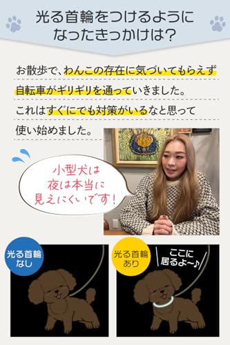 【トイプーのなむちゃん愛用！】光る首輪 LED 【3分充電で90分使用可能】（小型犬専用ｘサイズ調整可能）フル充電30分で4時間使用可能 (レインボー M：50㎝) 中間 画像