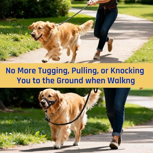 BARKLESS犬用トレーニングヘッドカラー、プルヘッドホルター、調節可能な安全ストラップ付き、アンチプルソフトパッド入りマズルリーシュウォーキングトレーニングリーシュリアクティブミディアムドッグ用 中間 画像