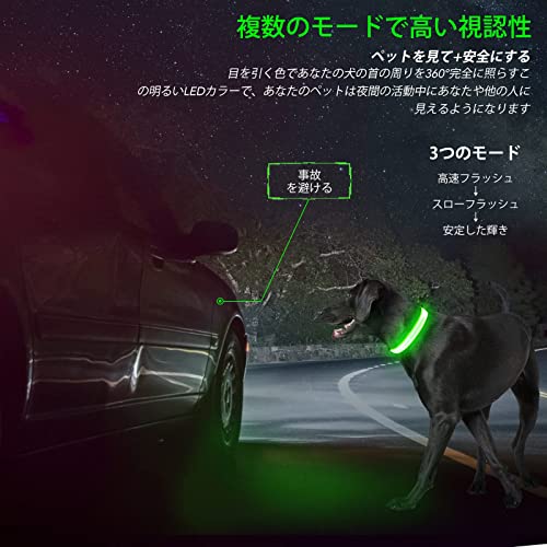 【本物のKOSKILL社】 LED光る首輪 犬用 散歩 夜 ライト USB充電式 小型犬 中型犬 大型犬 安全性 サイズ調整可能 視認距離500mで夜間も安心(グリーン, M) 中間 画像