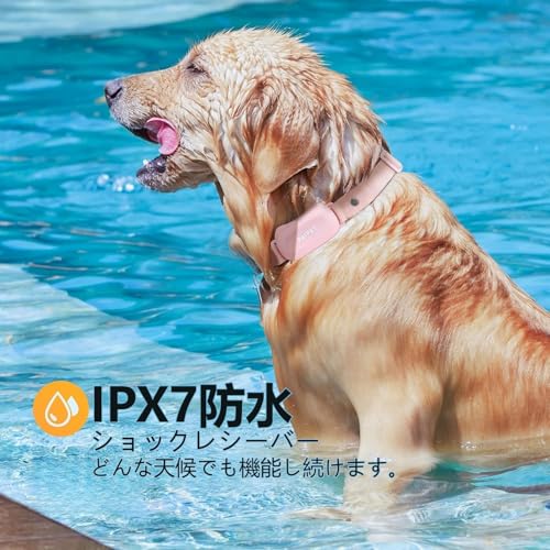 無駄吠え防止首輪 吠え防止グッズ リモコン しつけ首輪 振動 電気とビープ音3種類 充電式 小型犬 中型犬 大型犬用 むだぼえ防止 犬訓練 トレーニング用 近所迷惑防止 自動訓練 近所迷惑防止 安眠妨害解決 愛犬むだぼえ防止グッズ (ピンク) 中間 画像