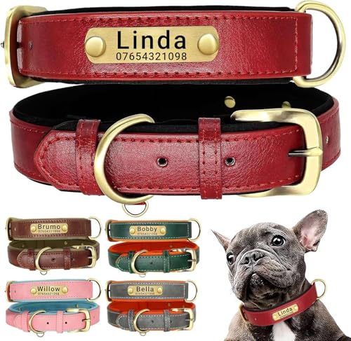 犬首輪 犬 首輪 迷子札 首輪 名入れ 犬用訓練首輪 小型、中型、大型犬用首輪 サイズ調節可能 ペット用品 ハーネス 犬の首輪 革 レザー 超軽量 通気パッド おしゃれ かわいい レザー彫刻 (レッド, M首回り(28~37cm)) 1