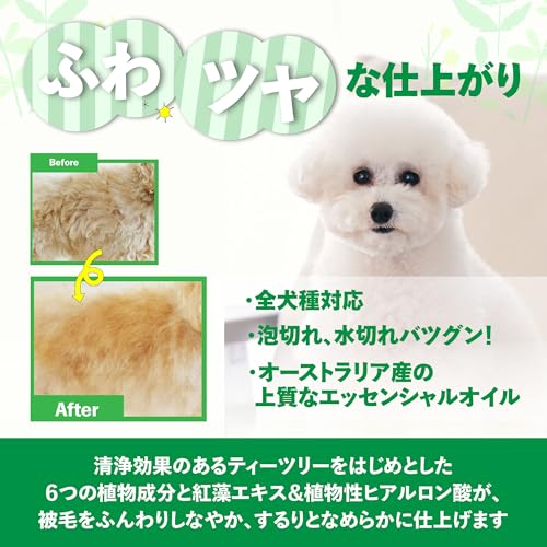 A.P.D.C. ティーツリーシャンプー 500ml (新パッケージ品) 全犬種対応 ふわツヤ感 ハーブ ティーツリーの香り 最後 画像