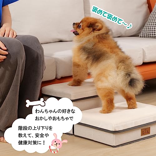 RK ペットステップ ドッグステップ ペット ステップ 階段 犬の階段 2段 タイプ 収納ボックス 組立 折りたたみ コンパクト 軽量 踏み台 スロープ 国内検品済 バニラアイボリー 中間 画像