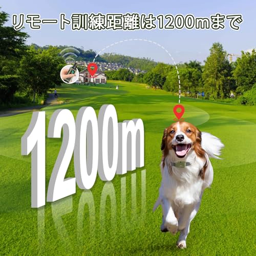むだぼえ防止首輪 リモコン付き 犬しつけ首輪 犬吠え防止グッズ 強力 振動 静電気とビープ音3種類 無駄吠え改善 充電式 中型犬 大型犬用 無駄吠え防止 犬訓練 日本語説明書 中間 画像