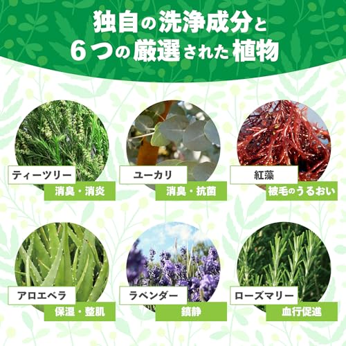 A.P.D.C. ティーツリーシャンプー 500ml (新パッケージ品) 全犬種対応 ふわツヤ感 ハーブ ティーツリーの香り 中間 画像